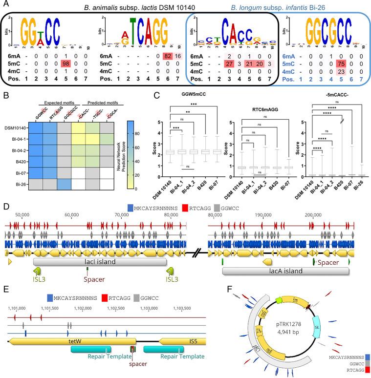 https://cdn.ncbi.nlm.nih.gov/pmc/blobs/4485/9335239/413bf7862a1b/pnas.2205068119fig06.jpg