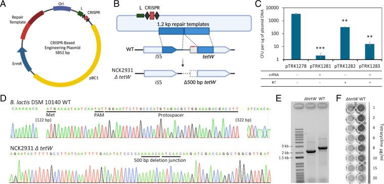 https://cdn.ncbi.nlm.nih.gov/pmc/blobs/4485/9335239/7c60c653edc1/pnas.2205068119fig04.jpg
