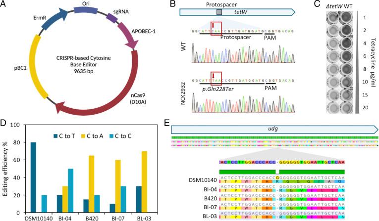 https://cdn.ncbi.nlm.nih.gov/pmc/blobs/4485/9335239/91db159bb598/pnas.2205068119fig05.jpg