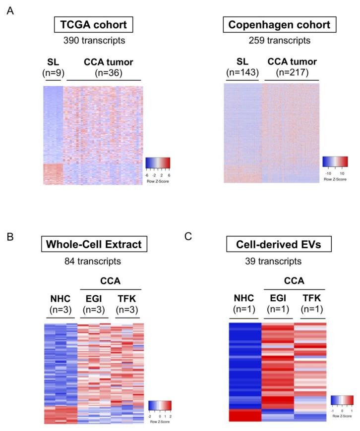 https://cdn.ncbi.nlm.nih.gov/pmc/blobs/4497/7140677/9752f1c842f1/cells-09-00721-g008a.jpg