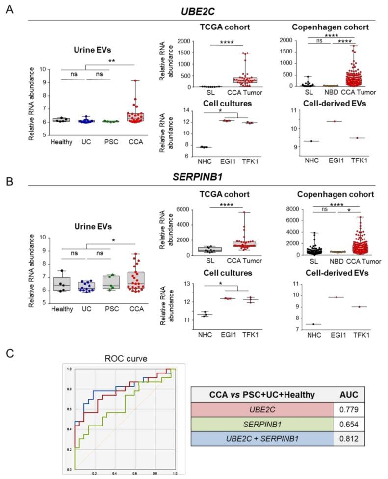 https://cdn.ncbi.nlm.nih.gov/pmc/blobs/4497/7140677/9acd48d52b56/cells-09-00721-g009.jpg