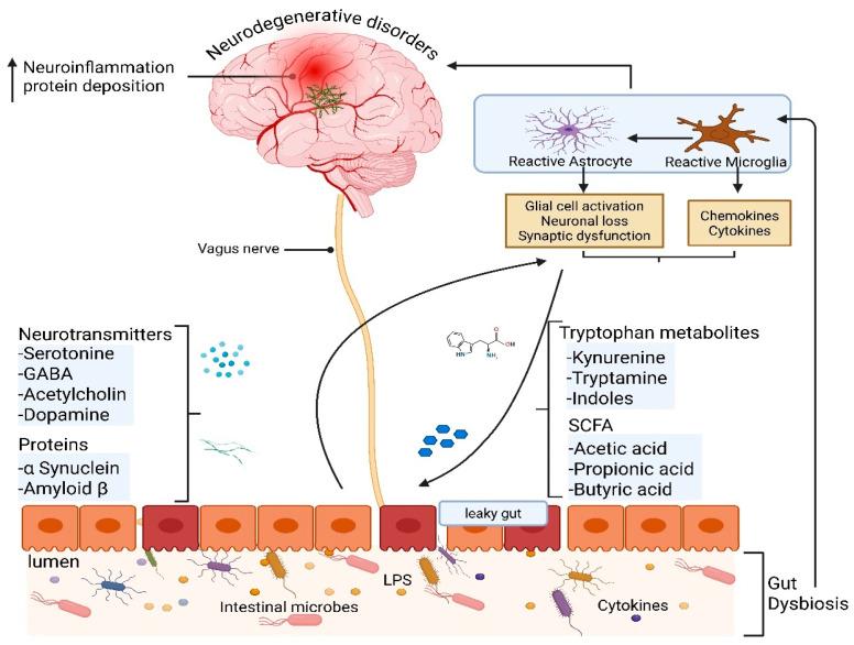 https://cdn.ncbi.nlm.nih.gov/pmc/blobs/4498/12190727/55508d1c96af/brainsci-15-00654-g001.jpg