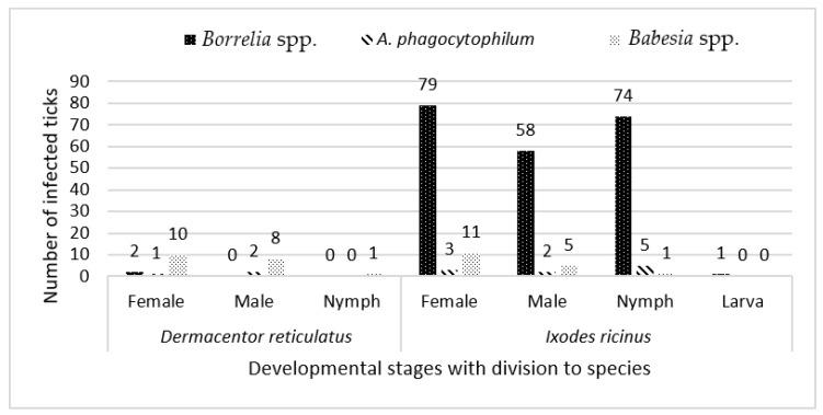 https://cdn.ncbi.nlm.nih.gov/pmc/blobs/449c/9024821/075558151fa8/pathogens-11-00468-g002.jpg