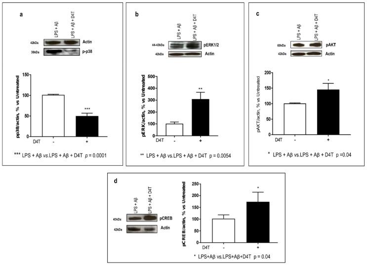 https://cdn.ncbi.nlm.nih.gov/pmc/blobs/44af/9322713/30bd2d49337c/cells-11-02180-g003.jpg
