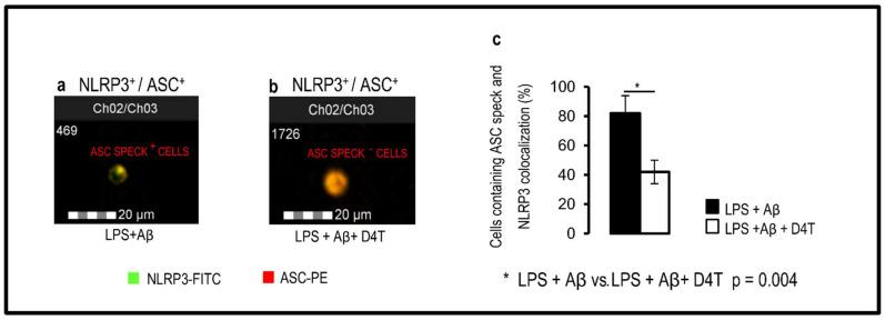 https://cdn.ncbi.nlm.nih.gov/pmc/blobs/44af/9322713/763eee630a09/cells-11-02180-g001.jpg