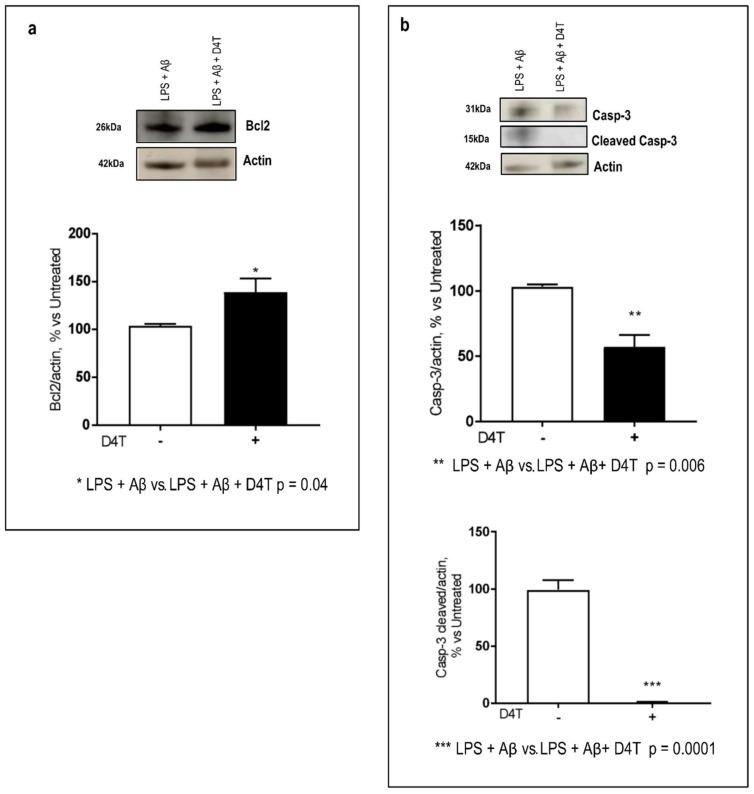 https://cdn.ncbi.nlm.nih.gov/pmc/blobs/44af/9322713/e2e82c1171ed/cells-11-02180-g005.jpg