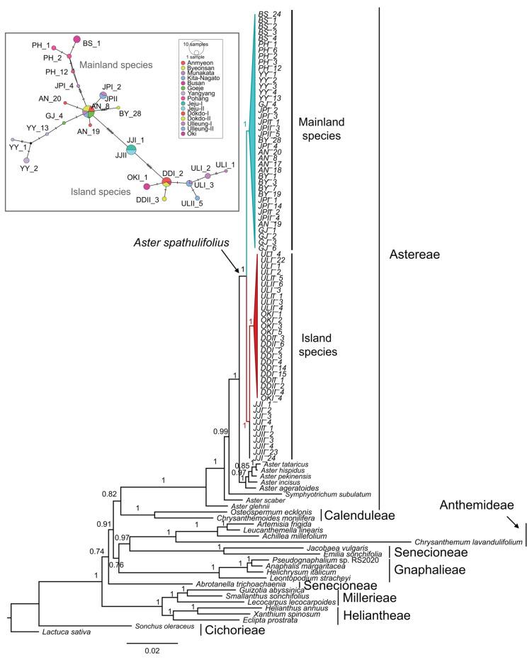 https://cdn.ncbi.nlm.nih.gov/pmc/blobs/44b5/10780962/c024096c5e42/plants-13-00088-g006.jpg