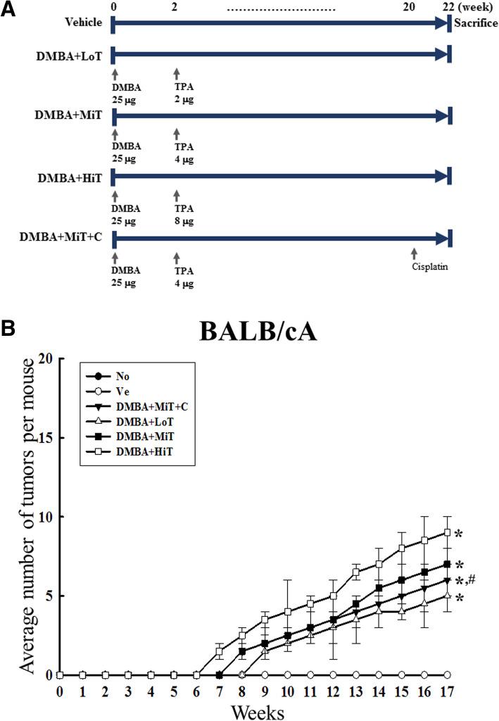 https://cdn.ncbi.nlm.nih.gov/pmc/blobs/44cc/7469300/3499b3b283e1/42826_2020_63_Fig1_HTML.jpg