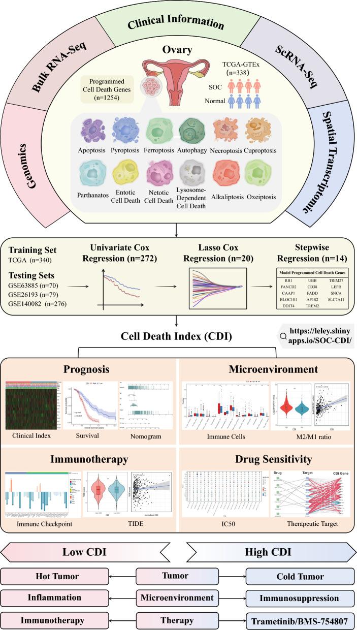 https://cdn.ncbi.nlm.nih.gov/pmc/blobs/44da/11707953/17eceb6f60cc/10020_2024_1036_Fig1_HTML.jpg
