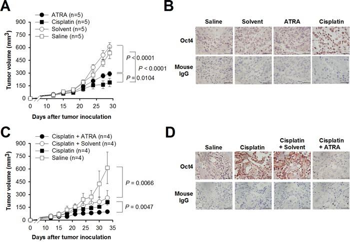 https://cdn.ncbi.nlm.nih.gov/pmc/blobs/44ec/5458172/521abf0fe6a9/oncotarget-08-30844-g006.jpg