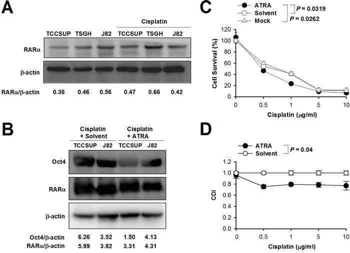 https://cdn.ncbi.nlm.nih.gov/pmc/blobs/44ec/5458172/726ae5691e2f/oncotarget-08-30844-g005.jpg