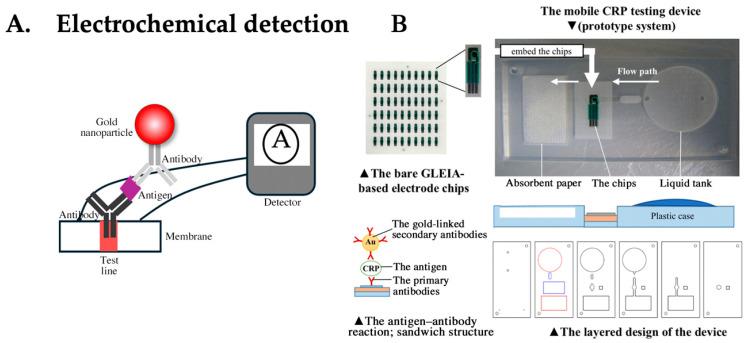 https://cdn.ncbi.nlm.nih.gov/pmc/blobs/44f7/11504701/c14ba6992e40/biomedicines-12-02268-g006.jpg