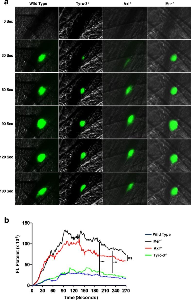 https://cdn.ncbi.nlm.nih.gov/pmc/blobs/4507/6291976/e8ddbfb707d2/12964_2018_308_Fig4_HTML.jpg