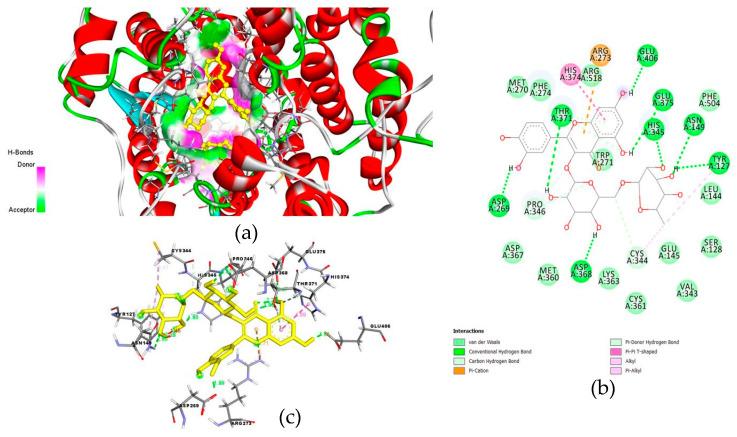 https://cdn.ncbi.nlm.nih.gov/pmc/blobs/4513/7956496/193cb97632db/molecules-26-01232-g004.jpg