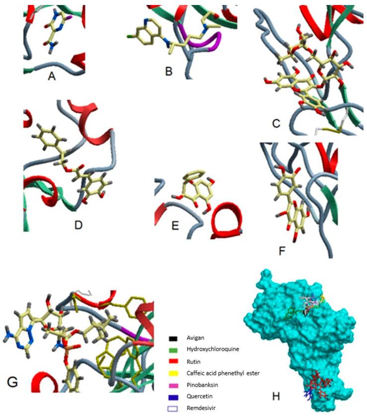 https://cdn.ncbi.nlm.nih.gov/pmc/blobs/4513/7956496/7ceda037cb52/molecules-26-01232-g006.jpg