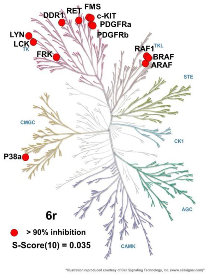 https://cdn.ncbi.nlm.nih.gov/pmc/blobs/4529/9817970/b744d43ac6b3/cancers-15-00143-g003.jpg