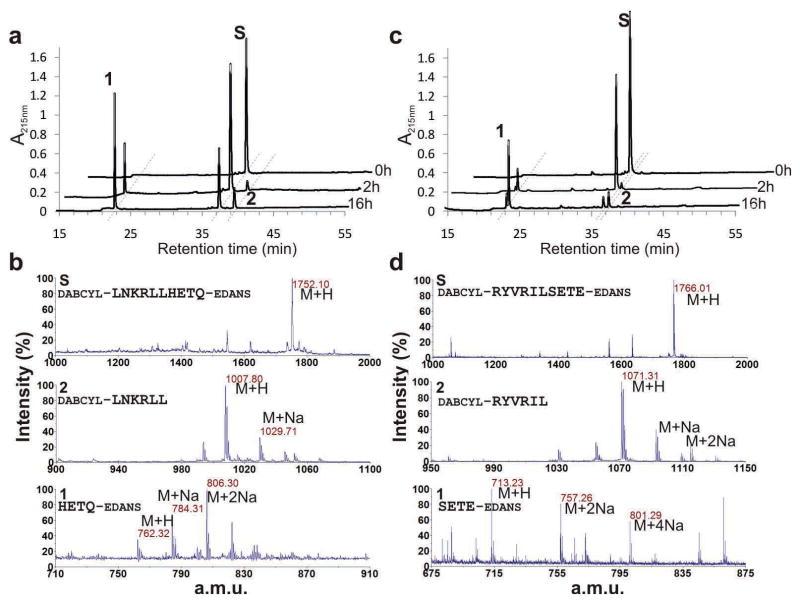 https://cdn.ncbi.nlm.nih.gov/pmc/blobs/4536/2826791/a57933d2a544/nihms165659f5.jpg
