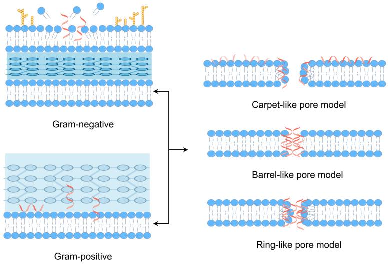 https://cdn.ncbi.nlm.nih.gov/pmc/blobs/4549/11721820/74ac8310322c/molecules-30-00128-g003.jpg