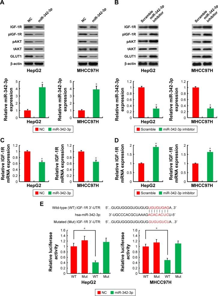 https://cdn.ncbi.nlm.nih.gov/pmc/blobs/4561/5870664/b10c3a62b98c/ott-11-1643Fig2.jpg