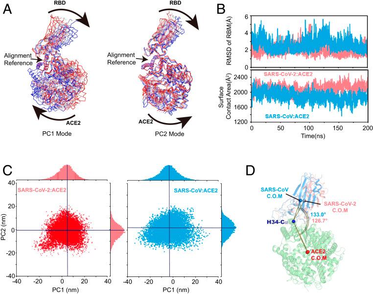 https://cdn.ncbi.nlm.nih.gov/pmc/blobs/4578/7322019/084f4549d511/pnas.2008209117fig02.jpg