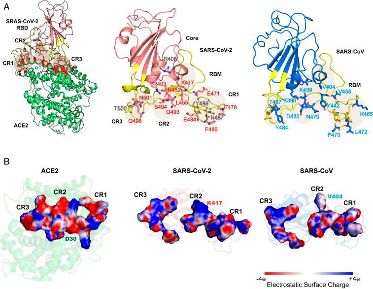 https://cdn.ncbi.nlm.nih.gov/pmc/blobs/4578/7322019/add896bafeb6/pnas.2008209117fig01.jpg