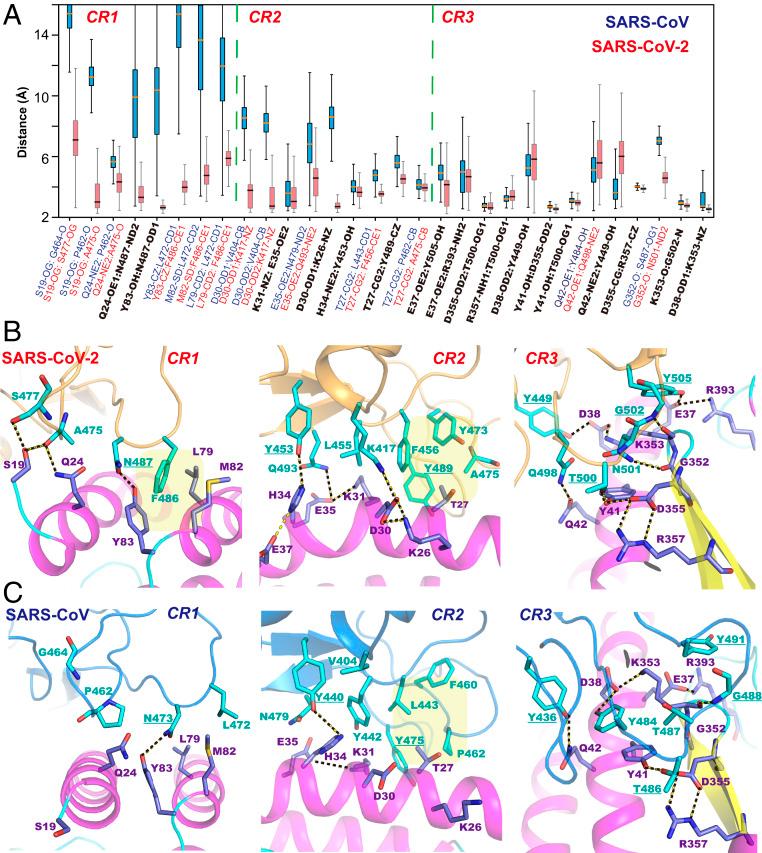 https://cdn.ncbi.nlm.nih.gov/pmc/blobs/4578/7322019/edecfeb265b6/pnas.2008209117fig03.jpg