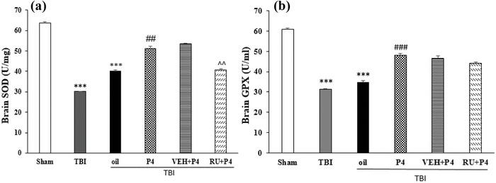 https://cdn.ncbi.nlm.nih.gov/pmc/blobs/4585/10636406/eca31d712482/BRB3-13-e3244-g001.jpg