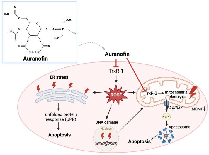 https://cdn.ncbi.nlm.nih.gov/pmc/blobs/4585/11428833/62579072019c/antioxidants-13-01078-g006.jpg