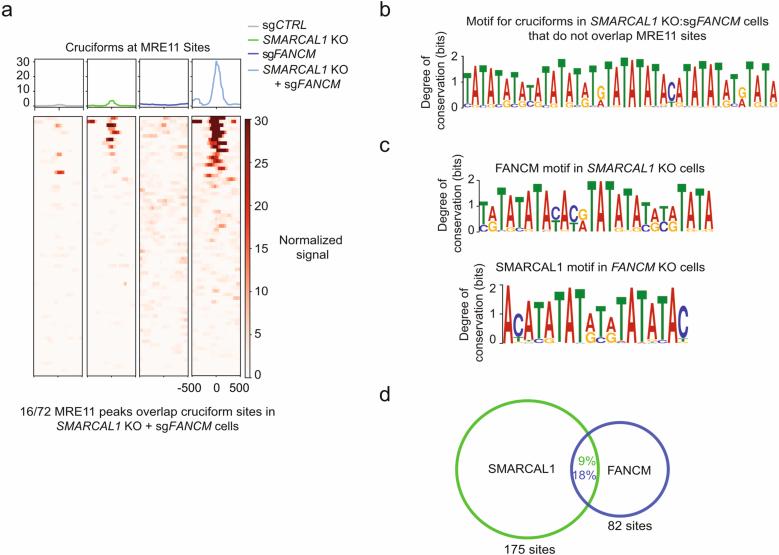 https://cdn.ncbi.nlm.nih.gov/pmc/blobs/4587/12018271/189f21a86614/41586_2025_8815_Fig15_ESM.jpg