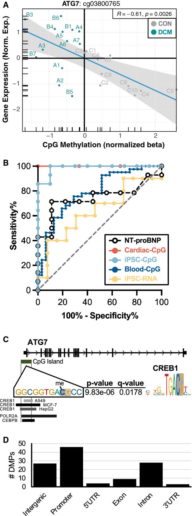 https://cdn.ncbi.nlm.nih.gov/pmc/blobs/45c4/10027651/76b3d2c25e76/395_2022_954_Fig6_HTML.jpg