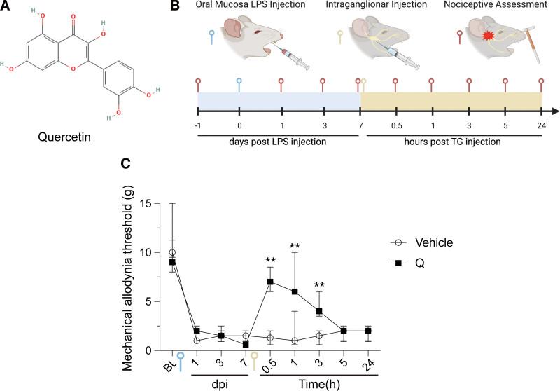 https://cdn.ncbi.nlm.nih.gov/pmc/blobs/45c7/11081480/d6aca39771e0/ane-138-1324-g002.jpg
