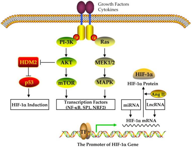 https://cdn.ncbi.nlm.nih.gov/pmc/blobs/45cc/10343257/dc983b509208/nutrients-15-02833-g004.jpg