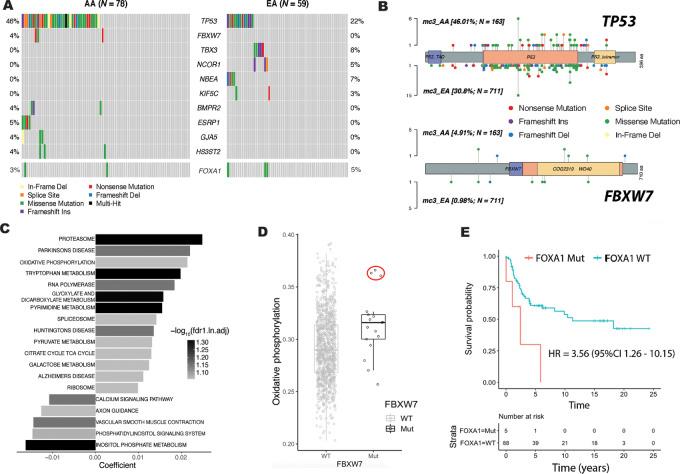 https://cdn.ncbi.nlm.nih.gov/pmc/blobs/45d3/10629394/f6326c689395/crc-23-0165_fig2.jpg