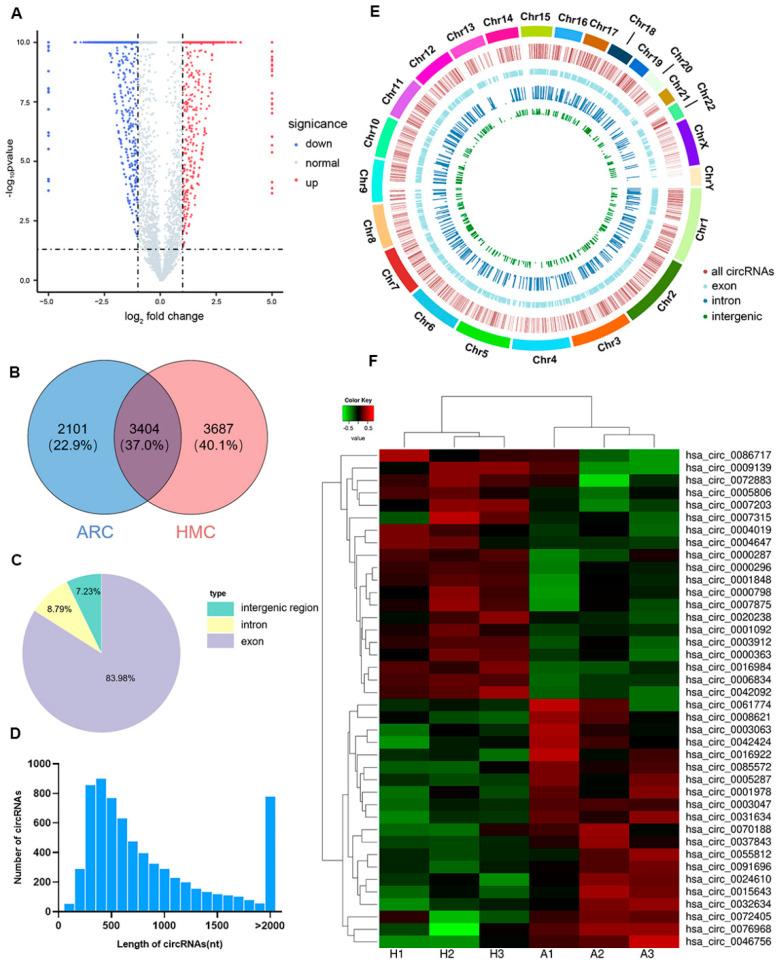 https://cdn.ncbi.nlm.nih.gov/pmc/blobs/45d8/9918043/d36d00d96a15/jcm-12-00813-g001.jpg