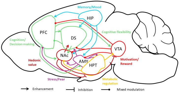 https://cdn.ncbi.nlm.nih.gov/pmc/blobs/45f9/11357464/3cd50fb4ec91/nutrients-16-02617-g004.jpg
