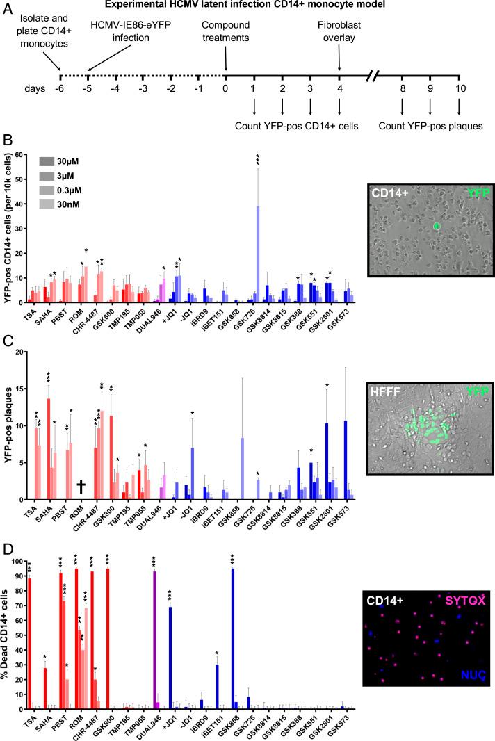 https://cdn.ncbi.nlm.nih.gov/pmc/blobs/461a/7936348/867fe2df3703/pnas.2023025118fig02.jpg