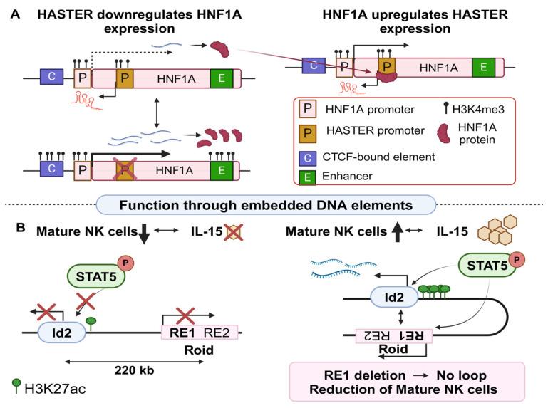 https://cdn.ncbi.nlm.nih.gov/pmc/blobs/4627/11311644/00a44d2e6032/cancers-16-02728-g002.jpg