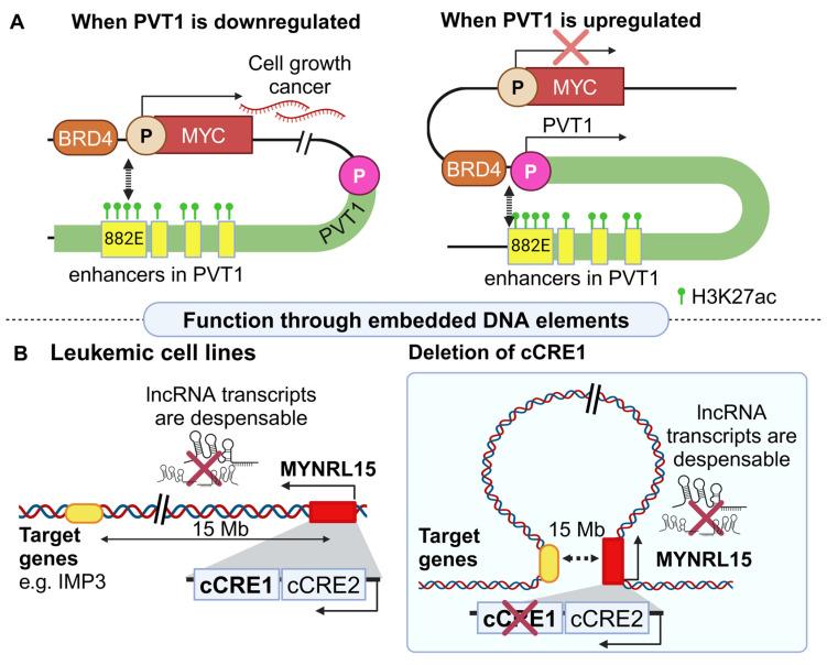 https://cdn.ncbi.nlm.nih.gov/pmc/blobs/4627/11311644/13e0f1b7c80b/cancers-16-02728-g001.jpg