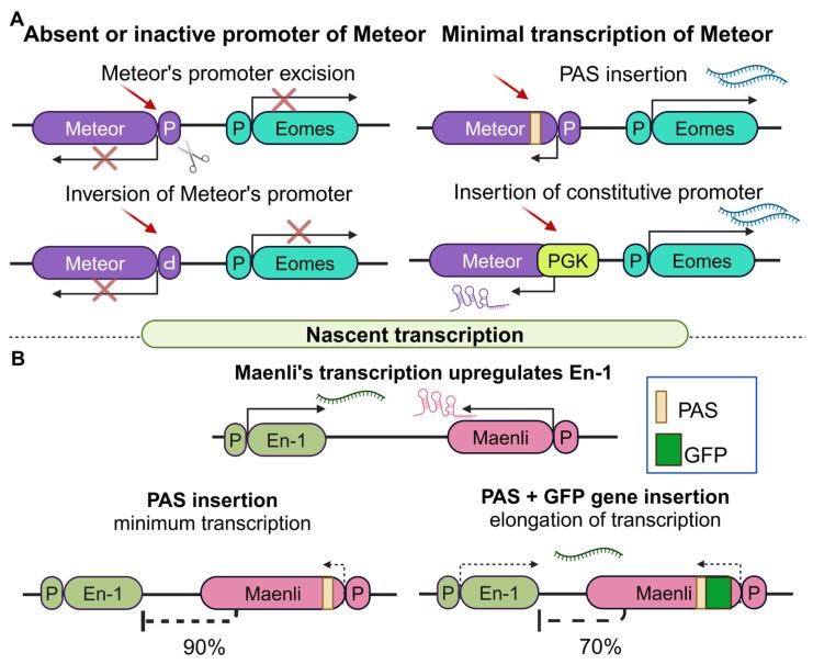 https://cdn.ncbi.nlm.nih.gov/pmc/blobs/4627/11311644/d509075e24f1/cancers-16-02728-g005.jpg