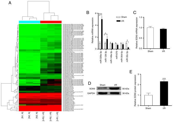 https://cdn.ncbi.nlm.nih.gov/pmc/blobs/4668/10061048/1e828aa25bbf/etm-25-04-11879-g01.jpg