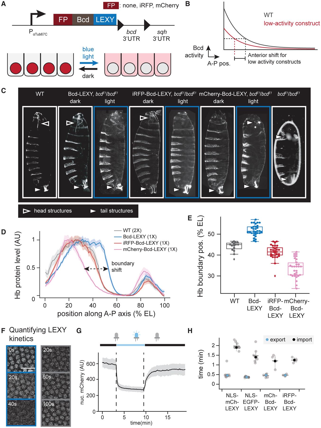 https://cdn.ncbi.nlm.nih.gov/pmc/blobs/4683/9019726/c45b2884cca8/nihms-1791913-f0003.jpg