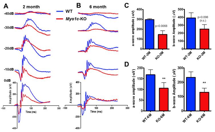 https://cdn.ncbi.nlm.nih.gov/pmc/blobs/4685/8229726/507270739dbe/cells-10-01322-g002.jpg