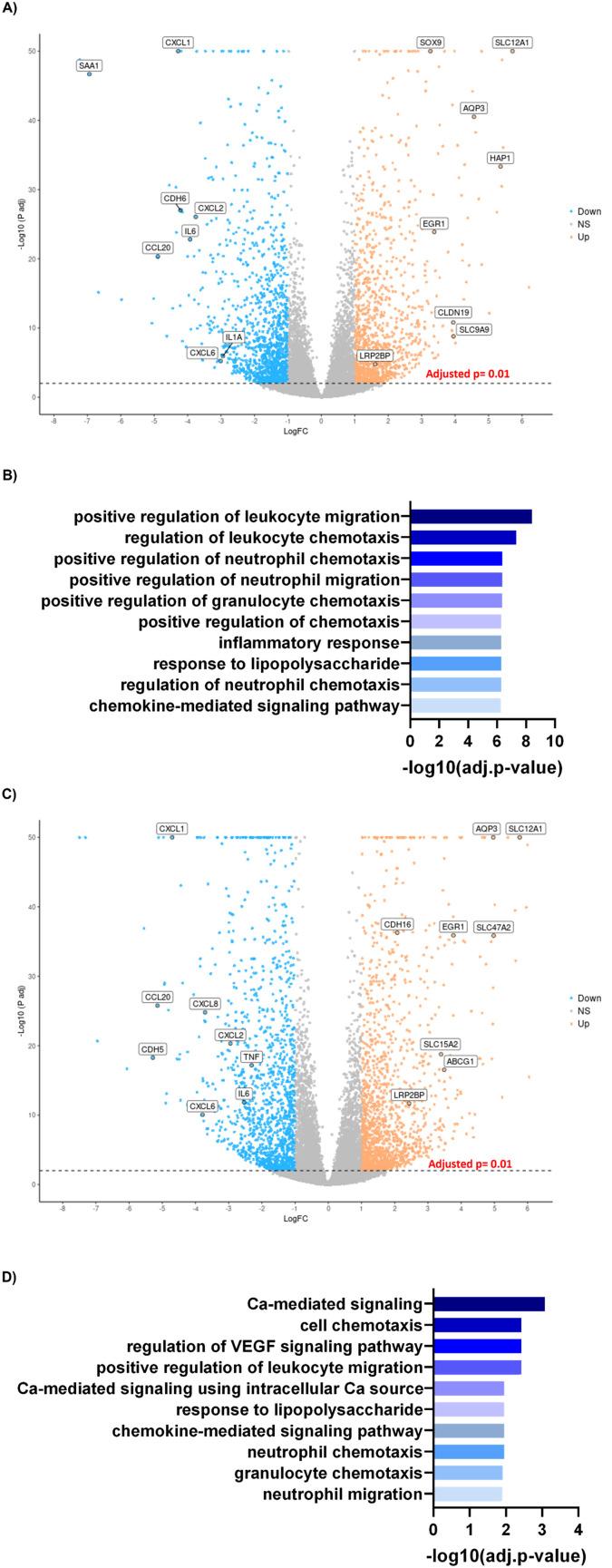 https://cdn.ncbi.nlm.nih.gov/pmc/blobs/4692/10337267/ca07049bc0da/d2lc00723a-f4.jpg