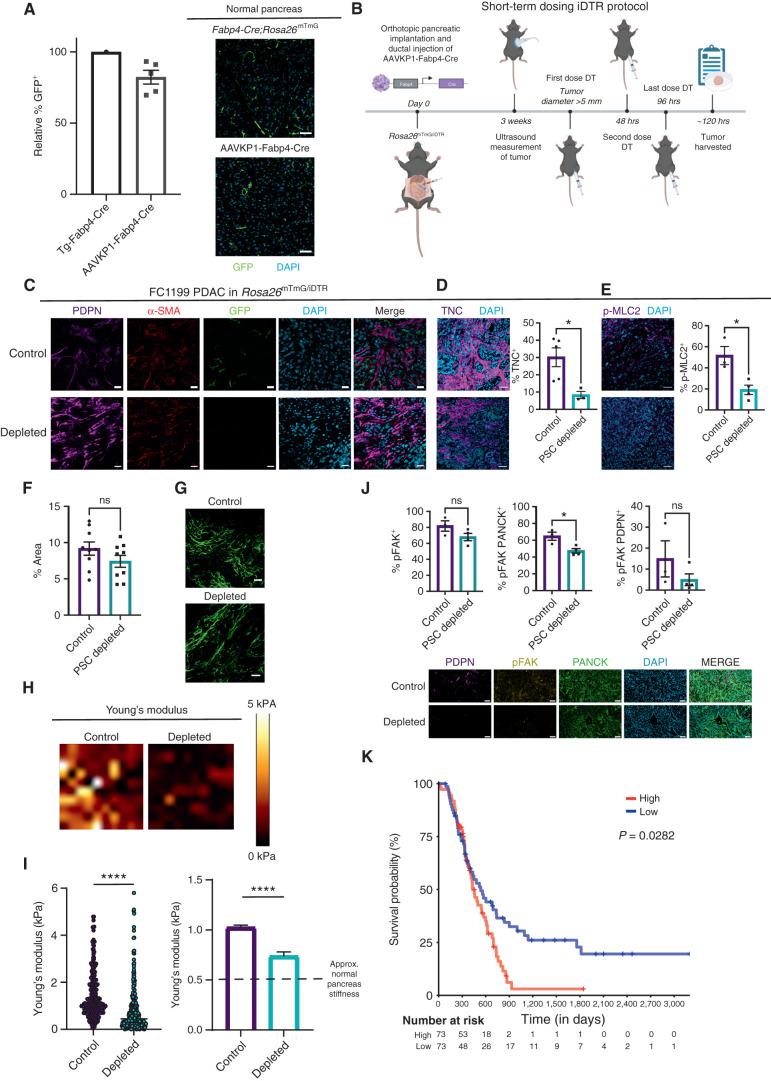 https://cdn.ncbi.nlm.nih.gov/pmc/blobs/4695/9762349/23664b38a5f2/484fig4.jpg