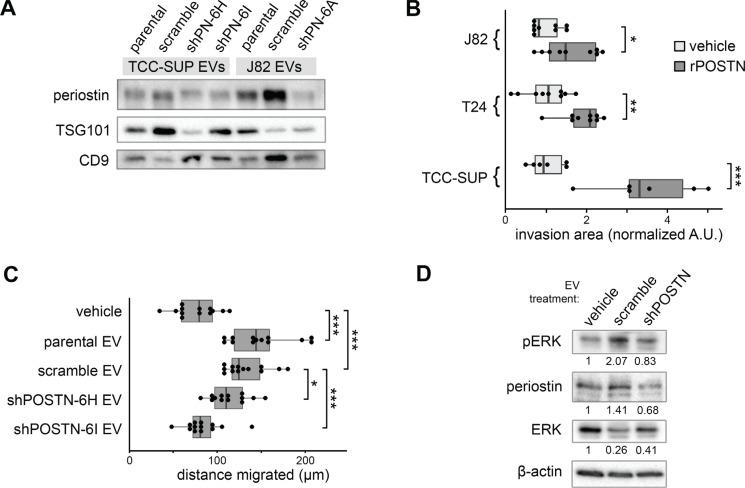 https://cdn.ncbi.nlm.nih.gov/pmc/blobs/46b9/5029630/de9a78a41a76/oncotarget-07-23335-g003.jpg