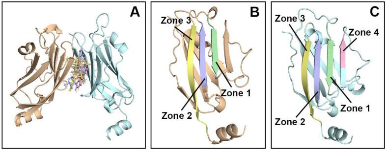 https://cdn.ncbi.nlm.nih.gov/pmc/blobs/46d0/11858612/bbc59565f063/molecules-30-00907-g001.jpg