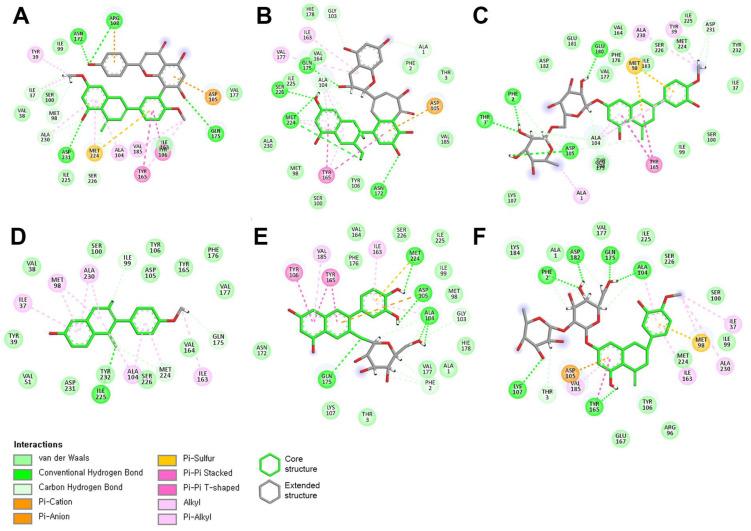 https://cdn.ncbi.nlm.nih.gov/pmc/blobs/46d0/11858612/e9c816268ff2/molecules-30-00907-g003.jpg