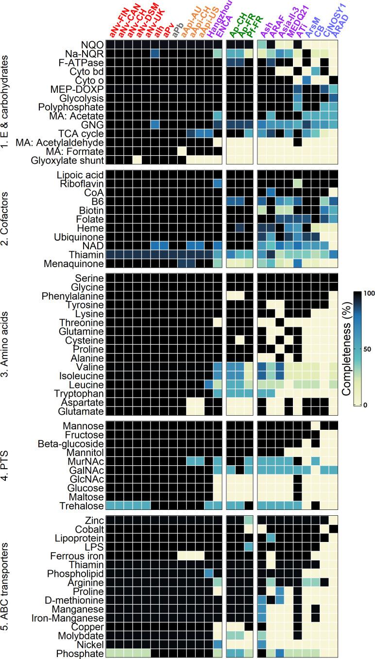 https://cdn.ncbi.nlm.nih.gov/pmc/blobs/46d4/12090721/ff474741aca7/msystems.01496-24.f004.jpg