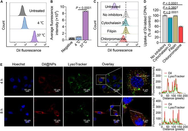 https://cdn.ncbi.nlm.nih.gov/pmc/blobs/46d6/11529783/6350a4254e78/bmr.0101.fig.005.jpg