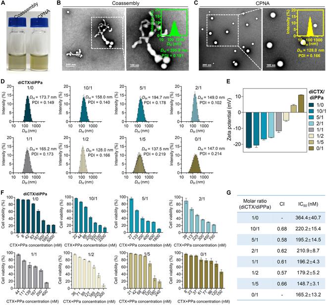 https://cdn.ncbi.nlm.nih.gov/pmc/blobs/46d6/11529783/e297d9f47fbe/bmr.0101.fig.002.jpg
